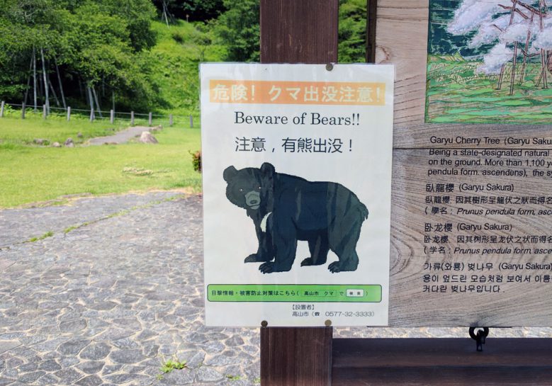 山の危険生物 熊 の対処法 ブログ ゆめあるサブスリープロジェクト